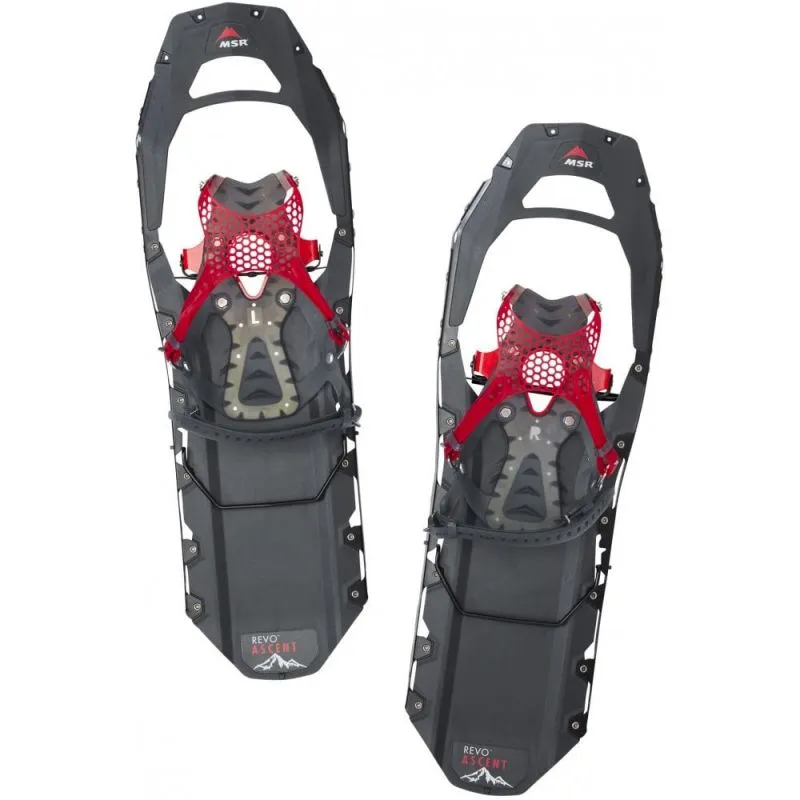 Racchette da neve MSR Revo Ascent 22 (Grigio) Uomo